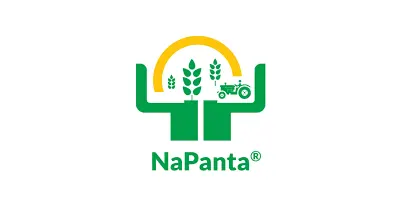 Partner